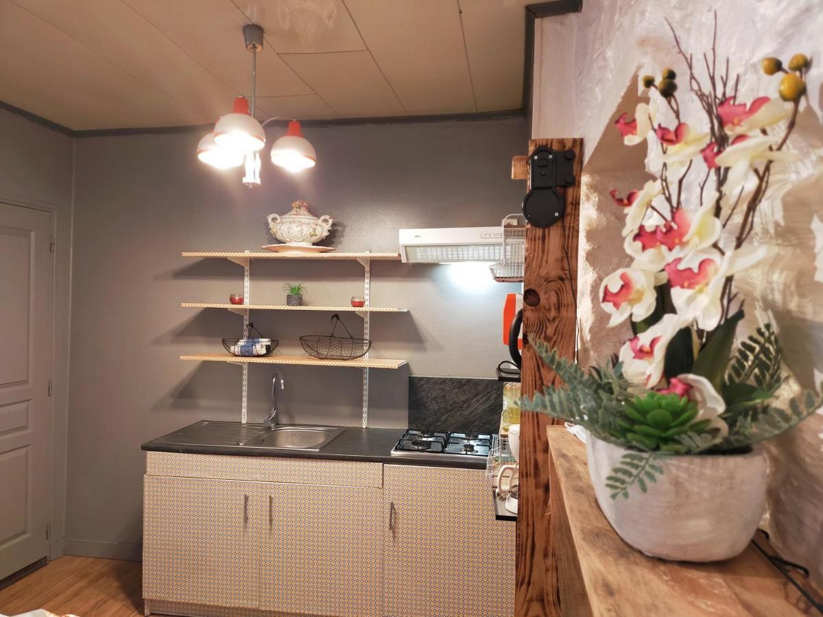 L'elephant Blanc De Concarnoloc Apartment Concarneau