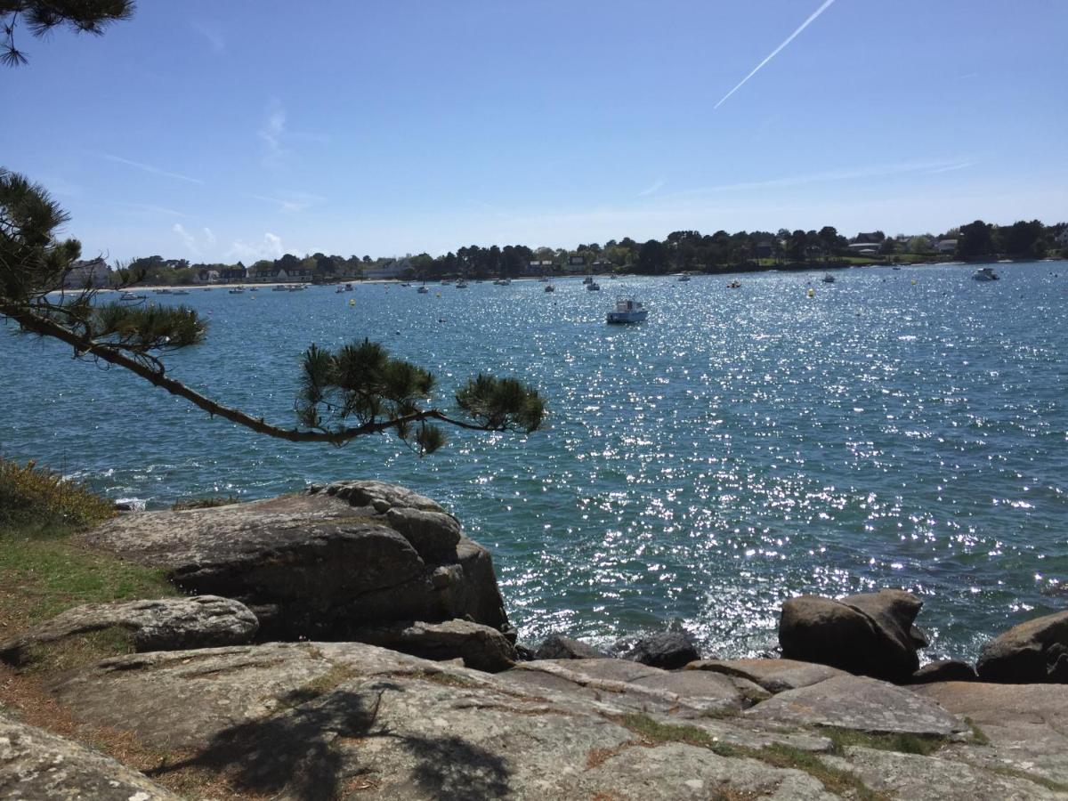 L'elephant Blanc De Concarnoloc Apartment Concarneau