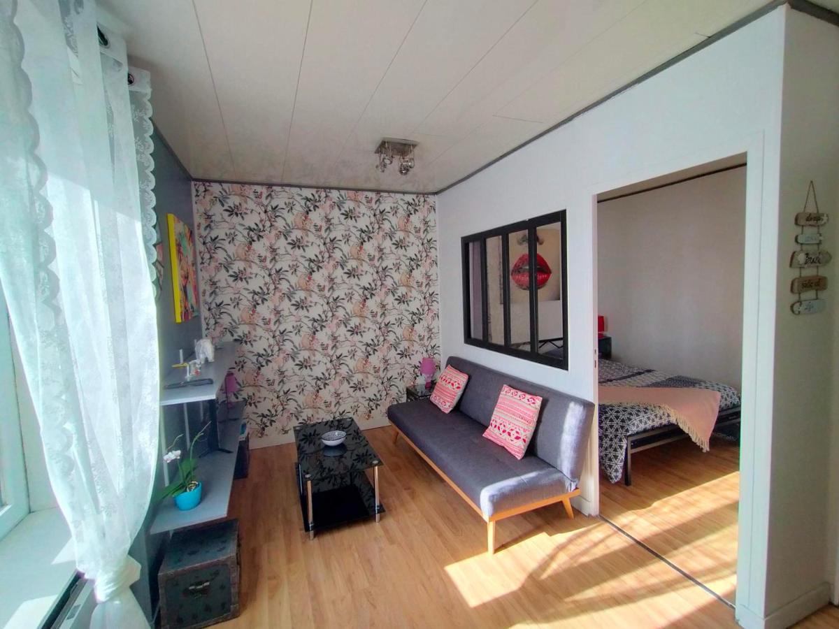 L'éléphant Blanc De Concarnoloc Appartement *
